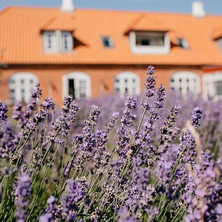 융스호베드 프레스테고르드 B&B Præstø 외부 사진
